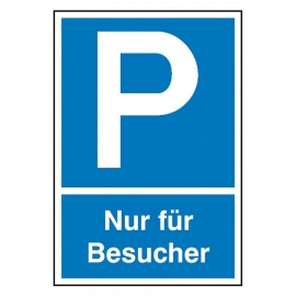 Parkschild - Parkplatzkennzeichen freistehend 500 BASIC 391 - RAL nach Wahl