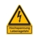 Warn-Kombi-Schild: Hochspannung Lebensgefahr / Dreieck